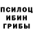Псилоцибиновые грибы Cubensis GUNSTOR