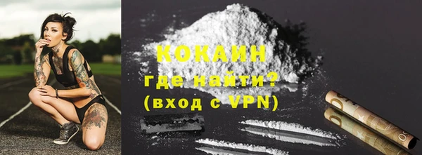 тгк Магас