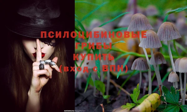 твердый Магадан