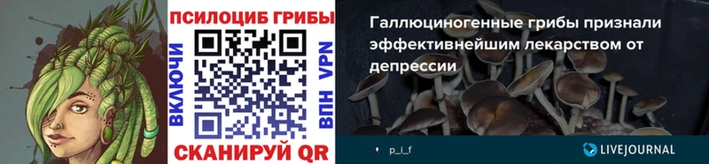 Псилоцибиновые грибы Cubensis  Можайск 